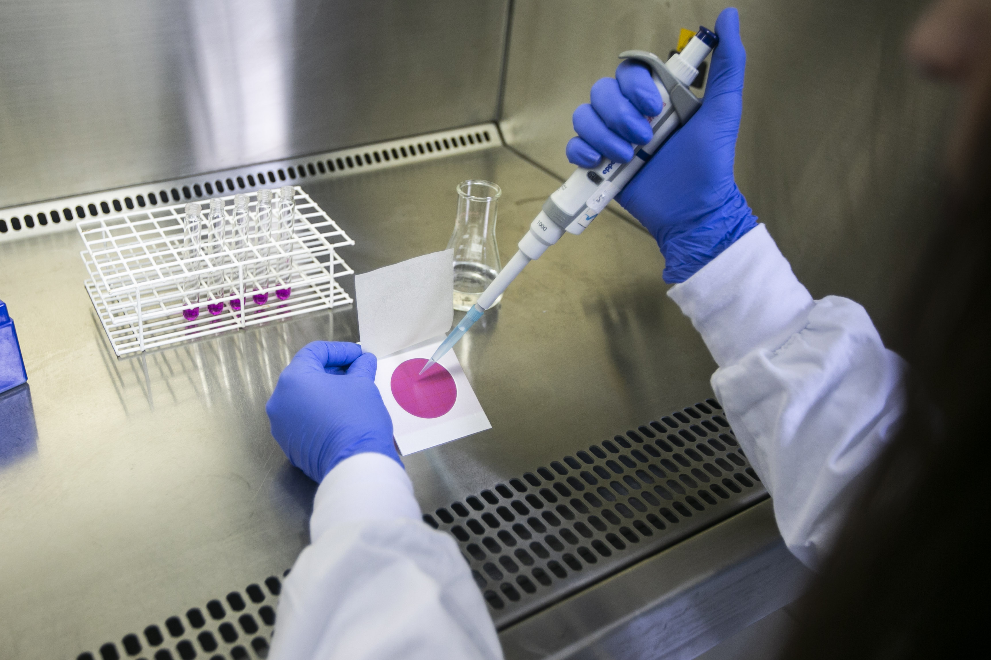 Instituto Senai de Tecnologia em Celulose e Papel