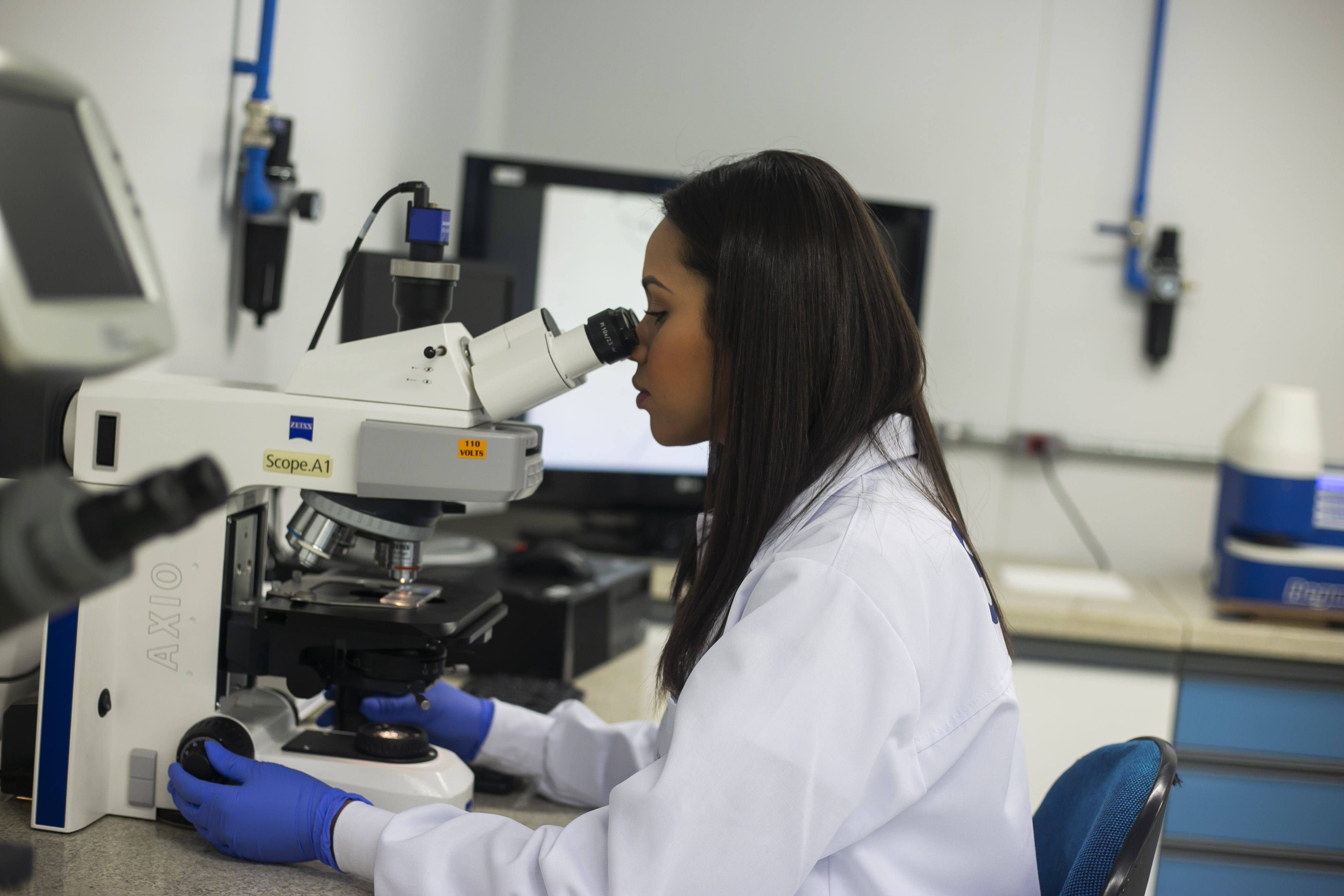 Instituto Senai de Tecnologia em Celulose e Papel