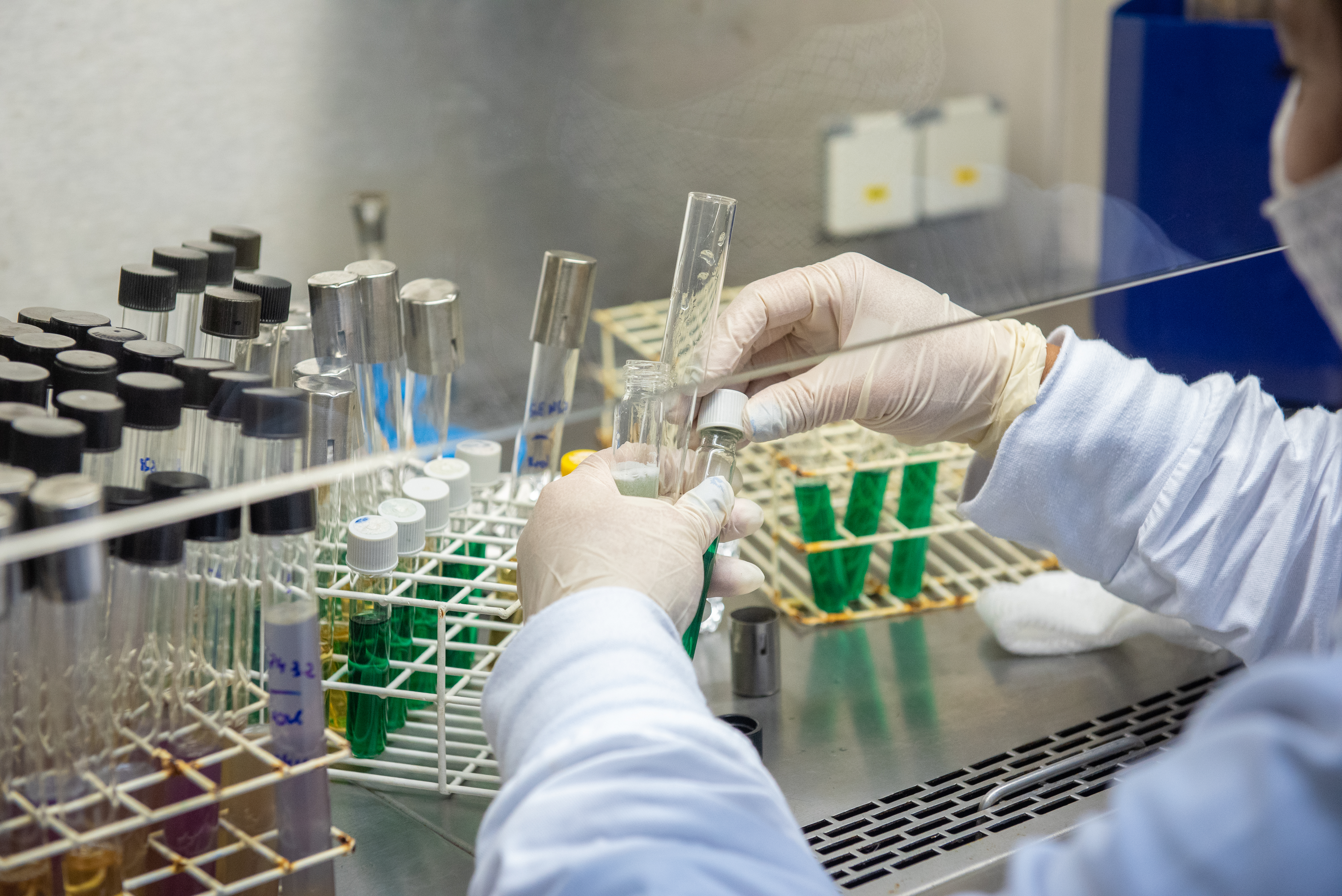 Instituto Senai de Tecnologia em Madeira e Mobiliário